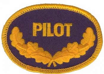 N_Pilot